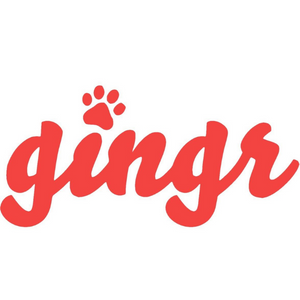 Gingr Logo